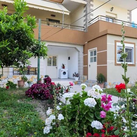 Vlorë Vila Agolli מראה חיצוני תמונה