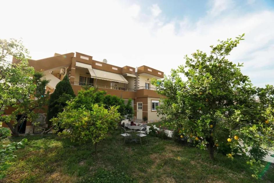 Vlorë Vila Agolli מראה חיצוני תמונה