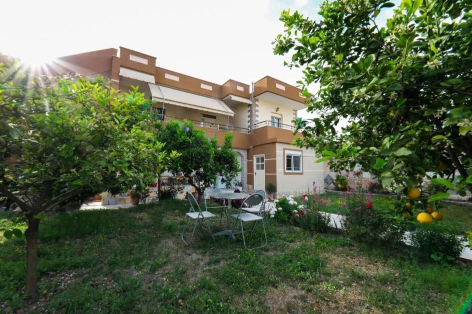 Vlorë Vila Agolli מראה חיצוני תמונה