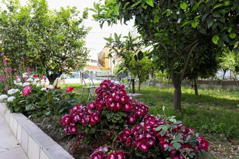 Vlorë Vila Agolli מראה חיצוני תמונה